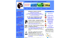 Desktop Screenshot of chaseireland.org